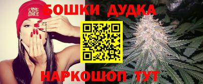 спайс Новодвинск
