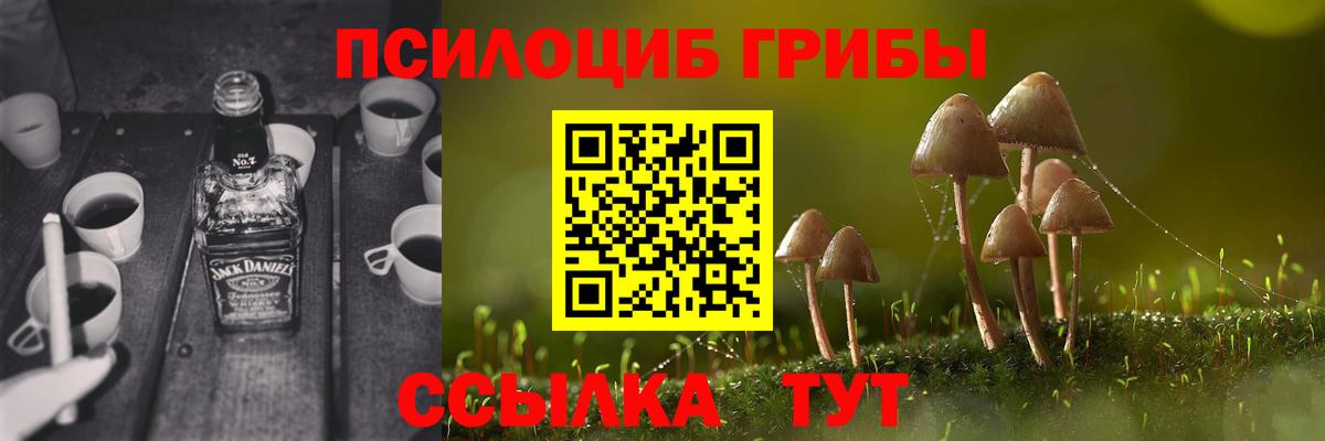 Углич  Галлюциногенные грибы мицелий  наркошоп  Вход с VPN  Галлюциногенные грибы Psilocybe 